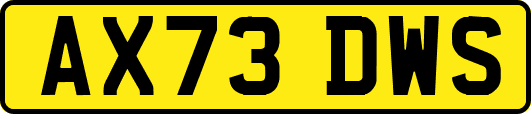 AX73DWS