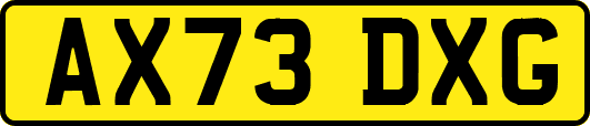 AX73DXG