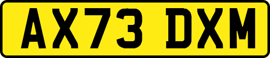 AX73DXM