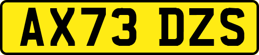 AX73DZS