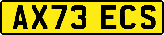 AX73ECS
