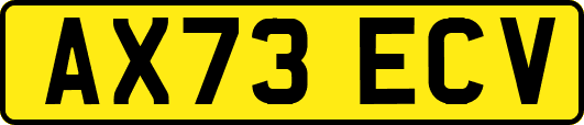 AX73ECV