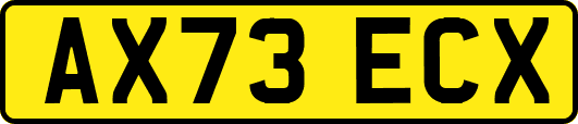 AX73ECX