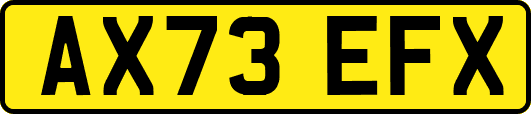 AX73EFX
