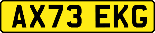 AX73EKG