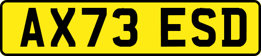 AX73ESD