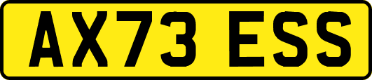 AX73ESS