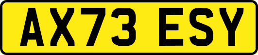 AX73ESY