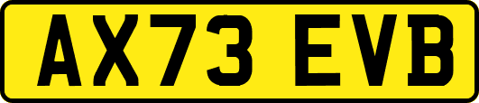 AX73EVB
