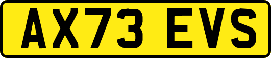 AX73EVS