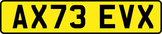 AX73EVX