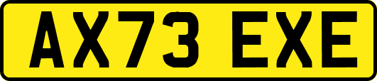 AX73EXE