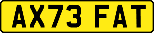 AX73FAT