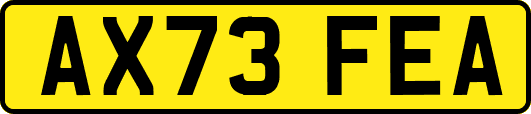 AX73FEA