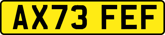 AX73FEF