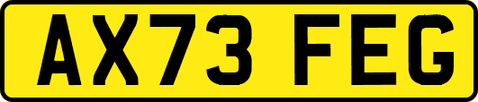 AX73FEG