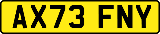 AX73FNY