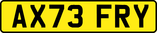 AX73FRY