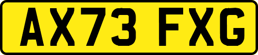 AX73FXG