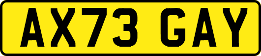 AX73GAY