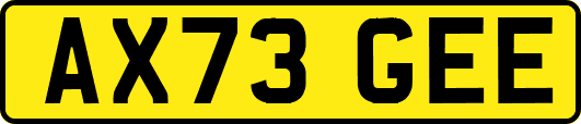 AX73GEE
