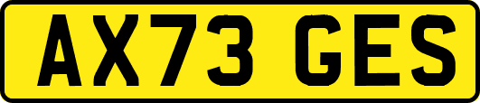 AX73GES