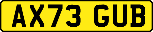 AX73GUB