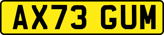 AX73GUM