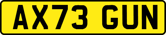 AX73GUN