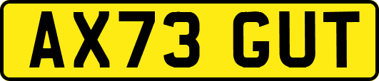 AX73GUT