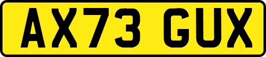 AX73GUX