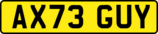 AX73GUY