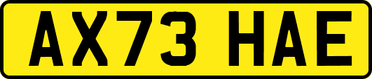 AX73HAE
