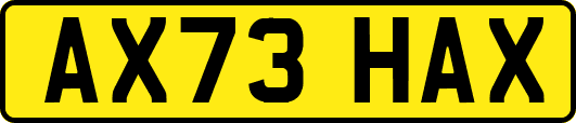 AX73HAX