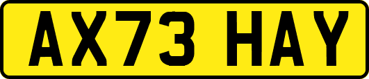 AX73HAY