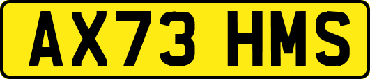 AX73HMS