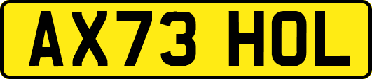 AX73HOL