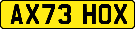 AX73HOX