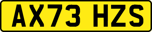 AX73HZS