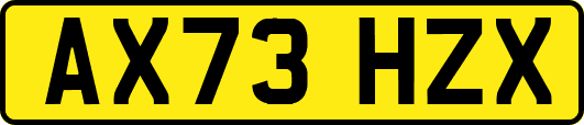 AX73HZX
