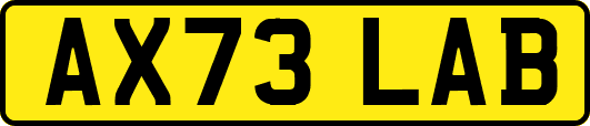 AX73LAB