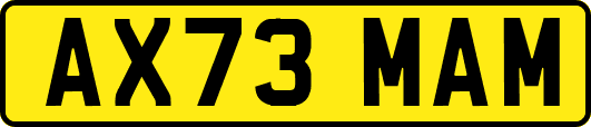 AX73MAM