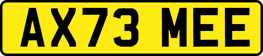 AX73MEE