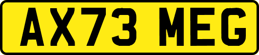AX73MEG
