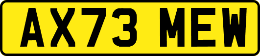 AX73MEW