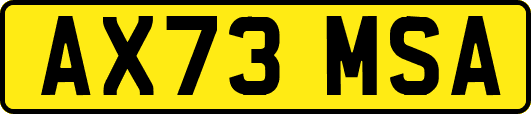 AX73MSA