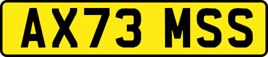 AX73MSS