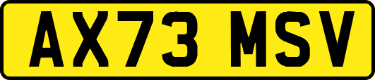 AX73MSV