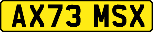 AX73MSX