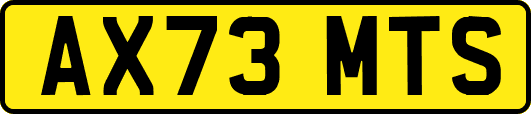 AX73MTS
